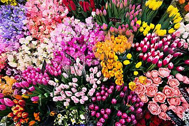 消息称暴雪国服回归将于本周官宣 国内玩家高兴吗？