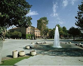 模拟宠物养成新作《小小伙伴：狗狗小岛》游戏玩法介绍